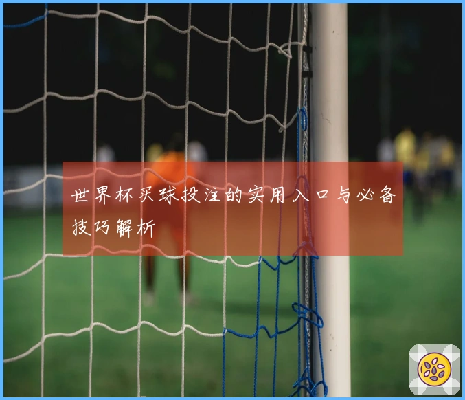 世界杯买球投注的实用入口与必备技巧解析