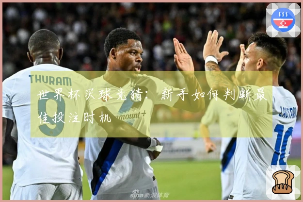世界杯买球竞猜：新手如何判断最佳投注时机