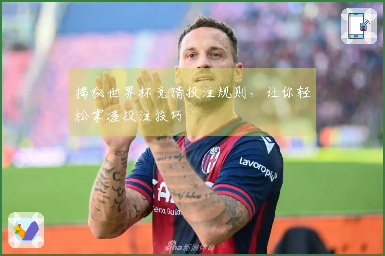 揭秘世界杯竞猜投注规则，让你轻松掌握投注技巧