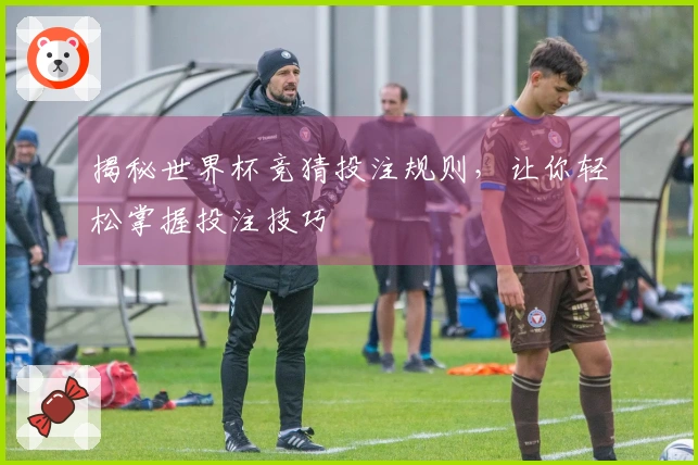 揭秘世界杯竞猜投注规则，让你轻松掌握投注技巧