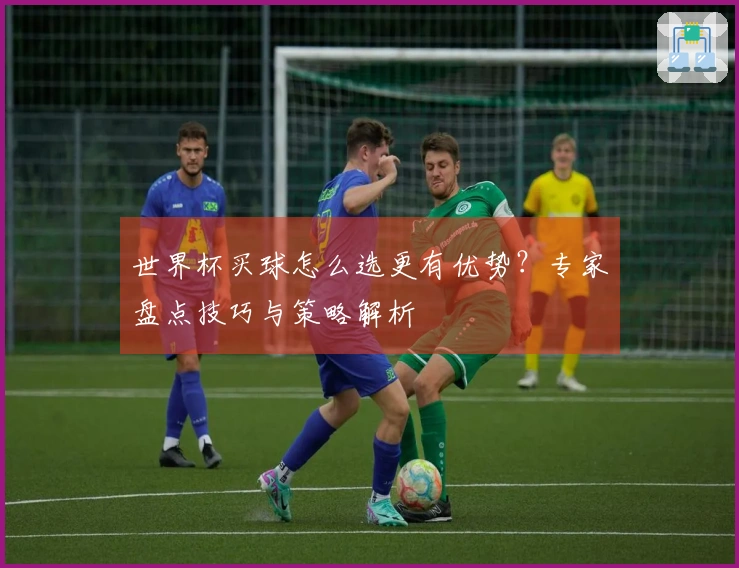 世界杯买球怎么选更有优势？专家盘点技巧与策略解析