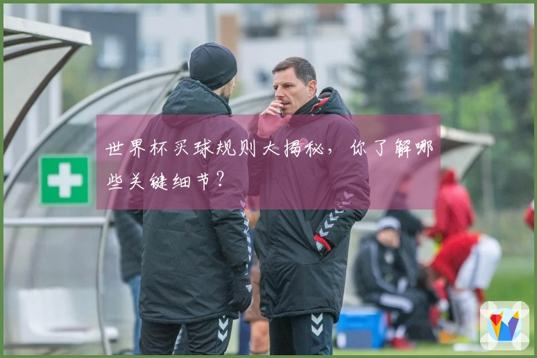 世界杯买球规则大揭秘，你了解哪些关键细节？
