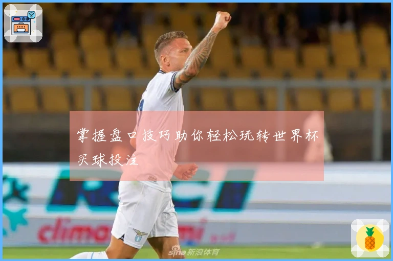 掌握盘口技巧助你轻松玩转世界杯买球投注